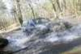      3- 