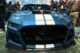 2019  GT500       Ford Mustang -
