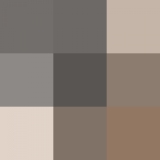  ,  ,        «»